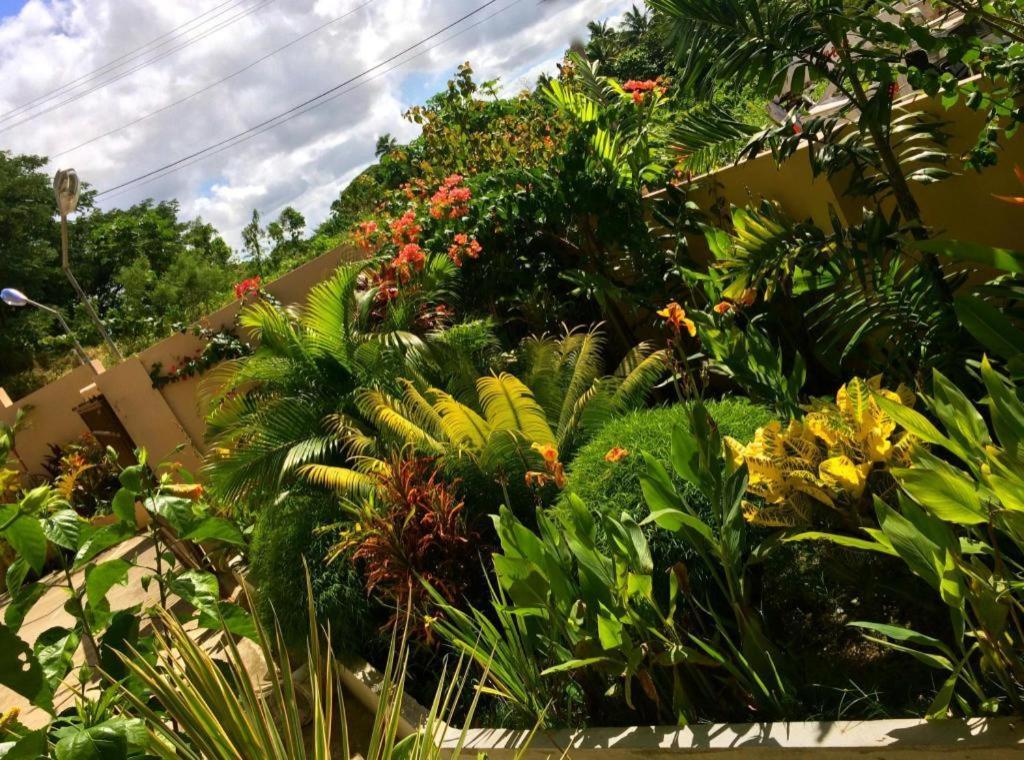 Victoria Palms Hotel Suva Eksteriør bilde